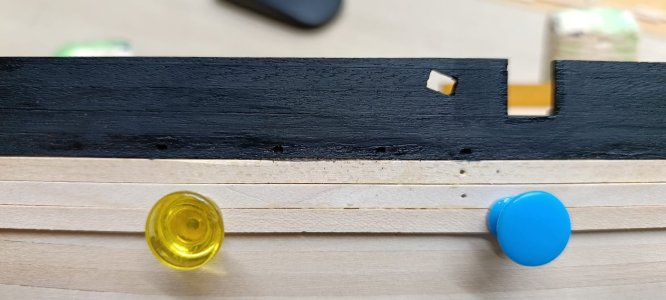 WhatsApp Image 2026-01-07 at 20.29.43.jpeg