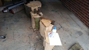 wooddrying (3).jpg