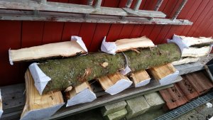 wooddrying (6).jpg