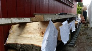 wooddrying (7).jpg