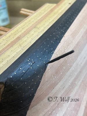 eZy Watermark_05-02-2026_07-51-28-5260PM.jpeg