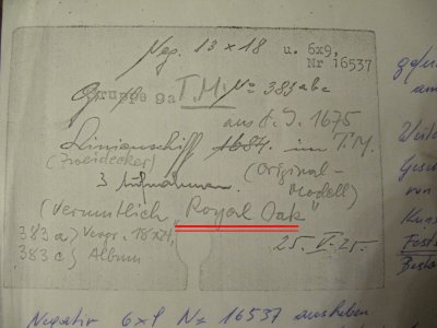 TM royal oak 001 (Large).JPG