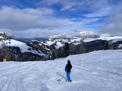 IMG_4807.jpeg IMG_4807.jpeg