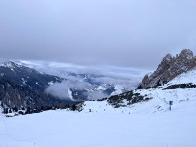 IMG_4799.jpeg IMG_4799.jpeg