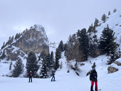 IMG_4801.jpeg IMG_4801.jpeg