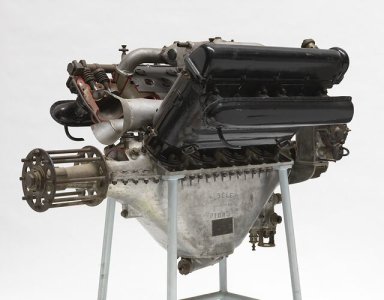 Museum Victoria Australia (1).jpg