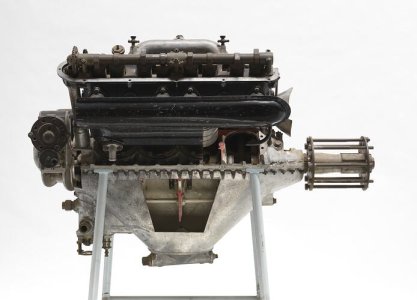 Museum Victoria Australia (3).jpg