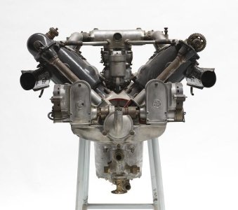 Museum Victoria Australia (4).jpg