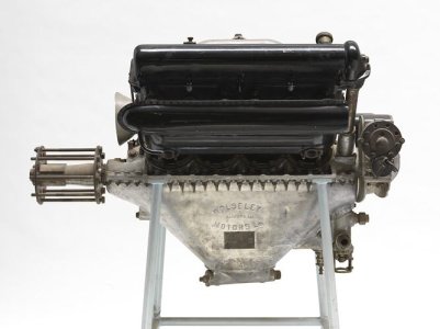 Museum Victoria Australia (5).jpg