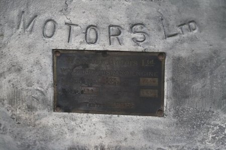 Museum Victoria Australia (6).jpg