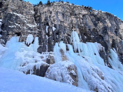 IMG_4876.jpeg IMG_4876.jpeg