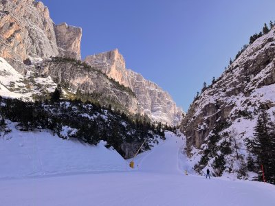 IMG_4882.jpeg IMG_4882.jpeg