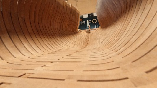 IMG_20260210_165012.jpg IMG_20260210_165012.jpg