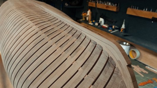 IMG_20260213_152825.jpg IMG_20260213_152825.jpg