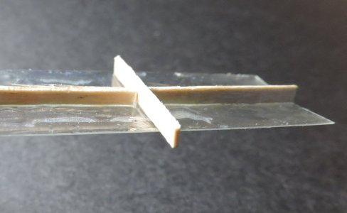 stern68.jpg stern68.jpg