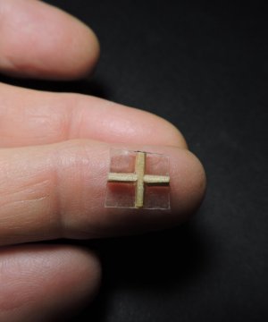 stern70.jpg stern70.jpg