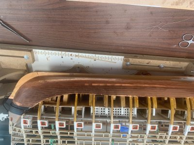 IMG_9078.jpeg IMG_9078.jpeg