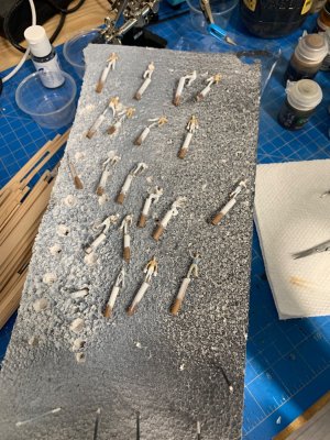 IMG_9075.jpeg IMG_9075.jpeg