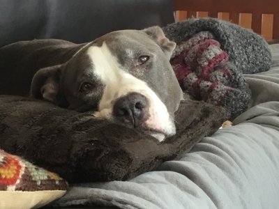 IMG_0633.jpeg IMG_0633.jpeg