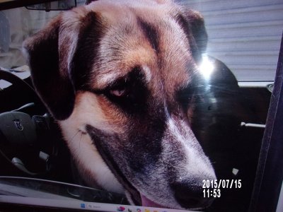 100_0072.JPG 100_0072.JPG