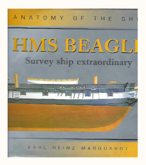 1771097531993.png 1771097531993.png