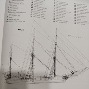 1771097848821.jpeg 1771097848821.jpeg