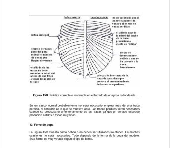 Captura de pantalla 2026-02-15 004542.jpg