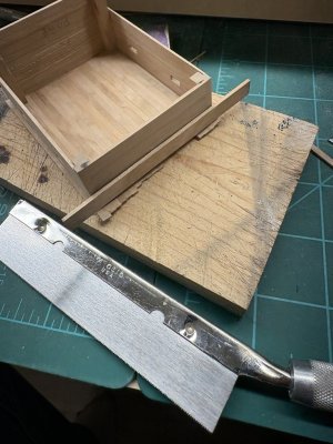 1771125620082.jpeg 1771125620082.jpeg