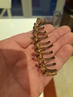 20260114_163236.jpg 20260114_163236.jpg