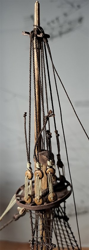 20260215_007.jpg 20260215_007.jpg