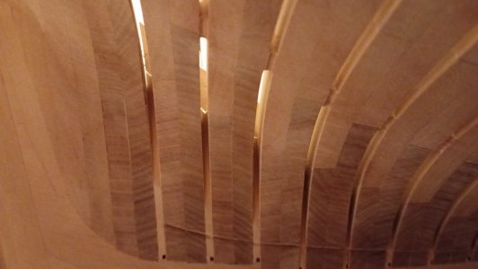 IMG_20260215_161143.jpg IMG_20260215_161143.jpg