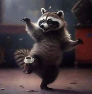 Polish_20260216_121441387.jpg Polish_20260216_121441387.jpg