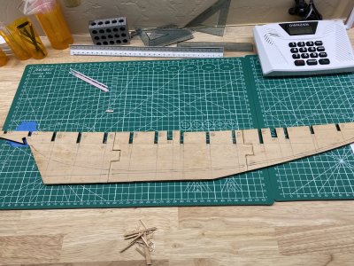 IMG_1236.jpeg IMG_1236.jpeg