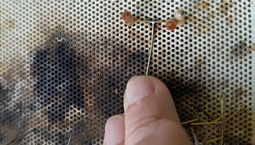 WhatsApp Image 2026-02-04 at 19.36.34 (2).jpeg