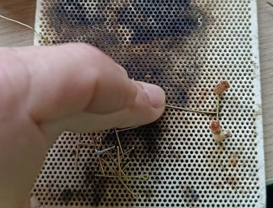 WhatsApp Image 2026-02-04 at 19.36.34 (3).jpeg