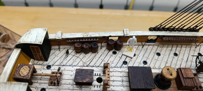 WhatsApp Image 2026-02-05 at 11.37.04.jpeg