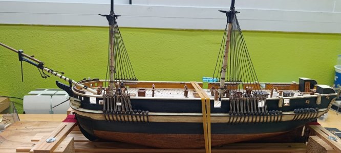 WhatsApp Image 2026-02-05 at 13.08.05.jpeg