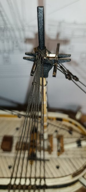 WhatsApp Image 2026-02-09 at 10.33.42 (3).jpeg