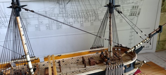 WhatsApp Image 2026-02-09 at 10.40.15.jpeg