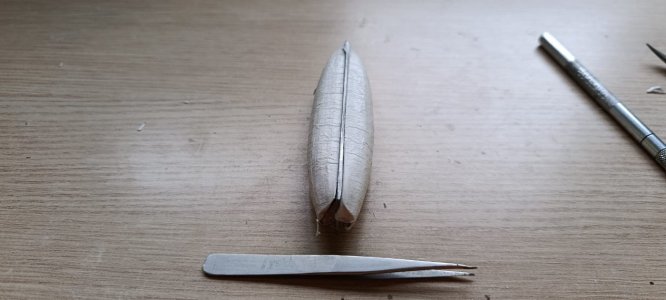 WhatsApp Image 2026-01-26 at 09.34.28 (2).jpeg