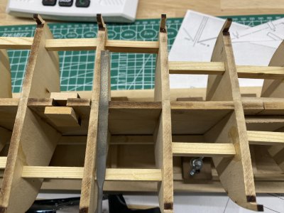 IMG_1296.jpeg IMG_1296.jpeg