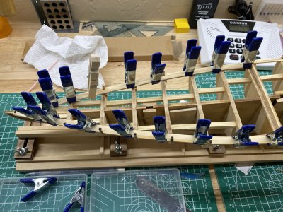 IMG_1313.jpeg IMG_1313.jpeg