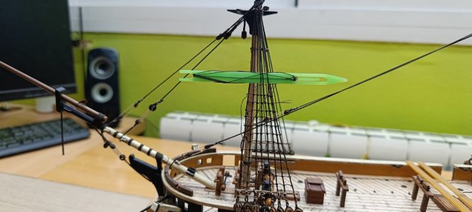 WhatsApp Image 2026-02-12 at 13.47.13 (1).jpeg