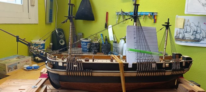 WhatsApp Image 2026-02-12 at 13.47.13.jpeg