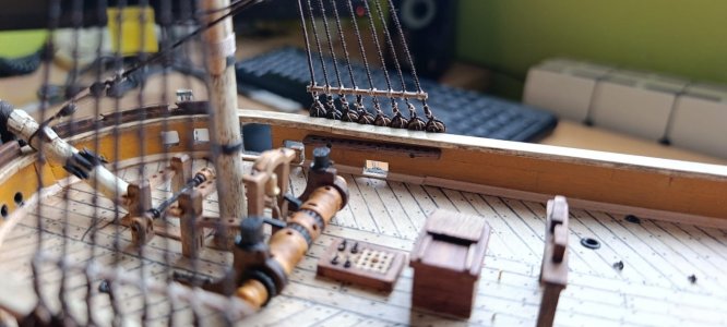 WhatsApp Image 2026-02-14 at 12.44.34.jpeg