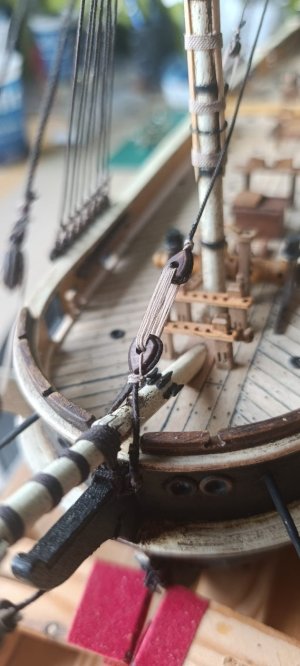 WhatsApp Image 2026-02-14 at 12.44.32 (1).jpeg