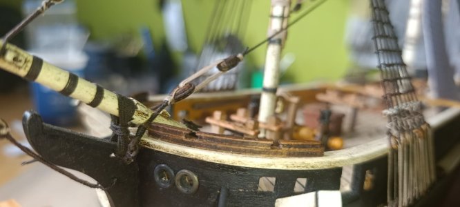 WhatsApp Image 2026-02-14 at 12.44.32 (3).jpeg