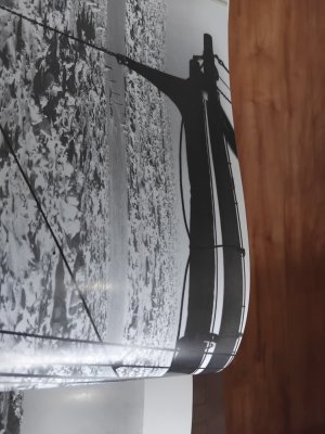 IMG_20260218_115048.jpg IMG_20260218_115048.jpg