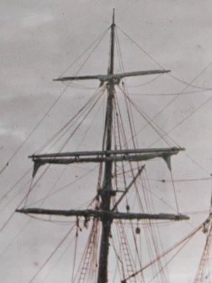 IMG_20260218_114952.jpg IMG_20260218_114952.jpg