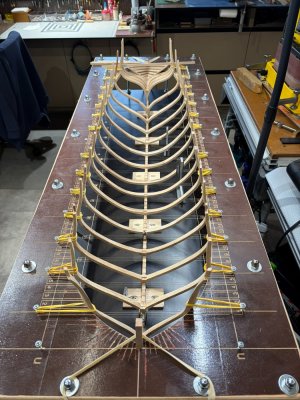 IMG_0623.JPEG IMG_0623.JPEG